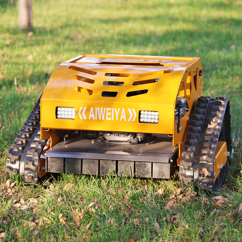 Customized Industrial Grade AW - Lawn Mower Battery 리뷰 및 가격