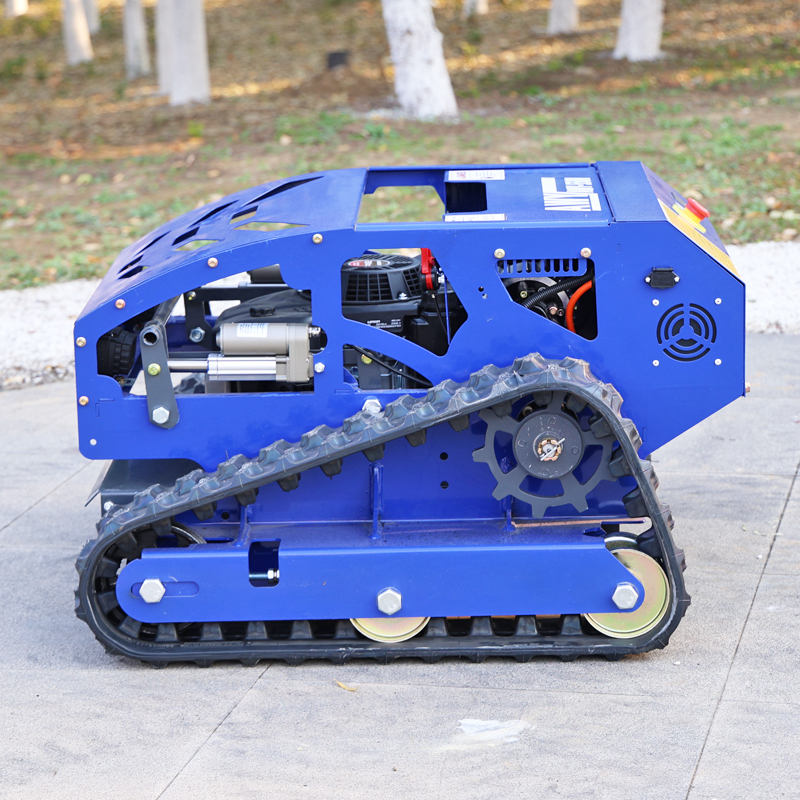 Customized Industrial Grade AW - Lawn Mower Battery 리뷰 및 가격