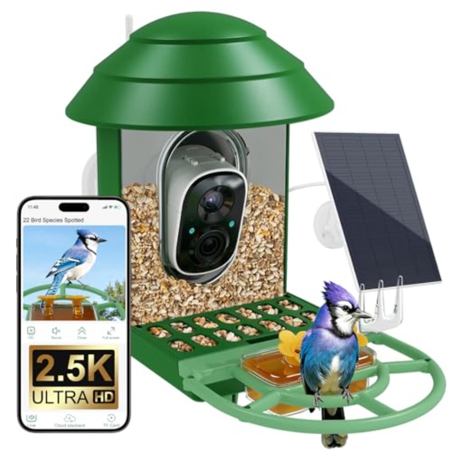 Bird Feeder with Camera for Ou - Power Outdoor 리뷰 및 가격
