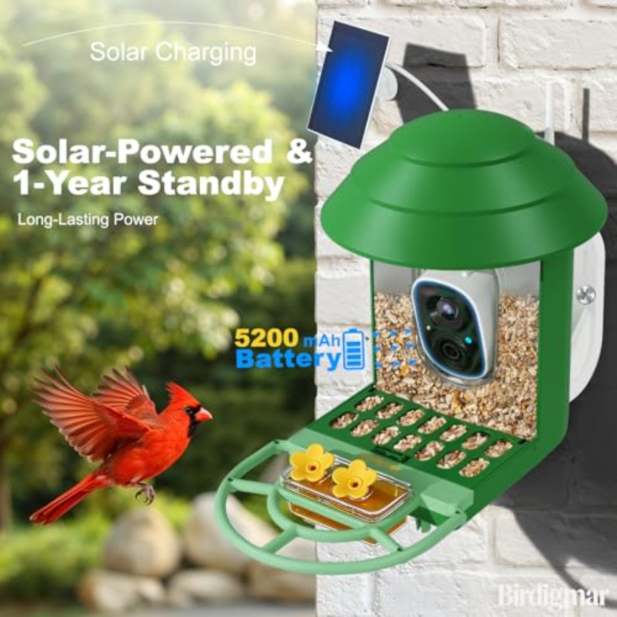 Bird Feeder with Camera for Ou - Power Outdoor 리뷰 및 가격