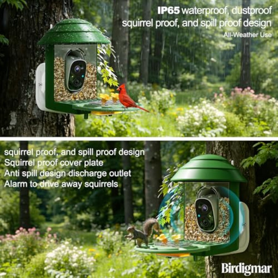 Bird Feeder with Camera for Ou - Power Outdoor 리뷰 및 가격