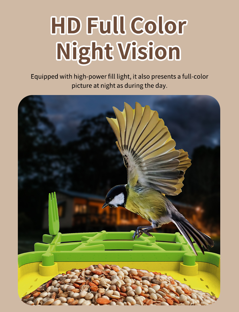 STLFSmart Bird Feeder HD Camer - Power Outdoor 리뷰 및 가격