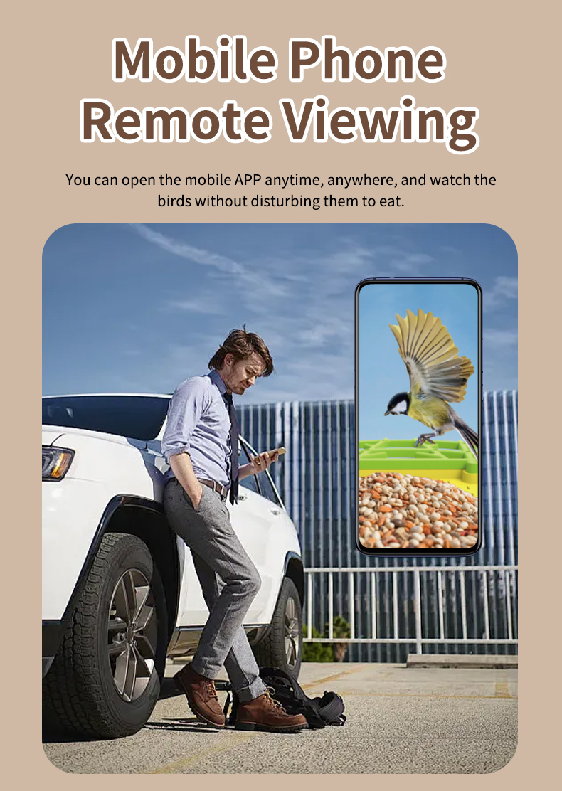 STLFSmart Bird Feeder HD Camer - Power Outdoor 리뷰 및 가격
