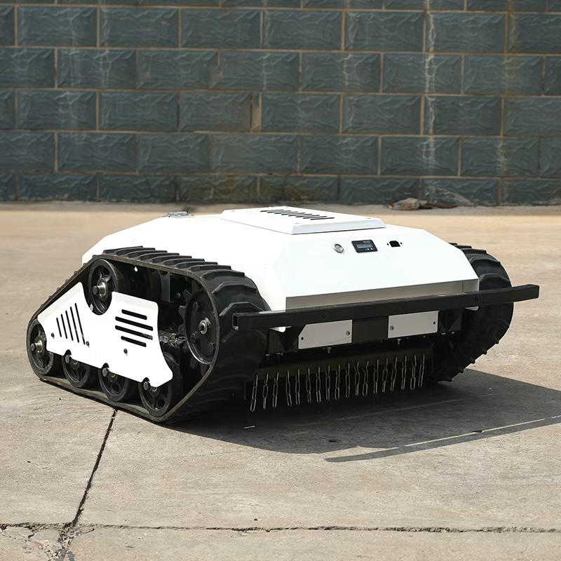 Powerful Durable Lithium Batte - Lawn Mower Battery 리뷰 및 가격