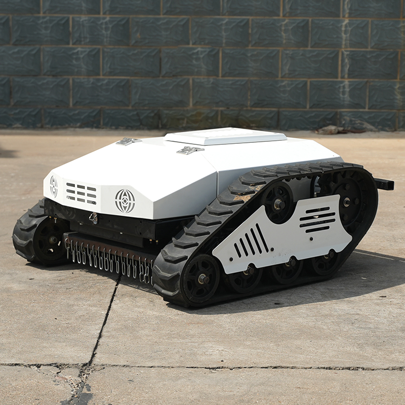 Powerful Durable Lithium Batte - Lawn Mower Battery 리뷰 및 가격
