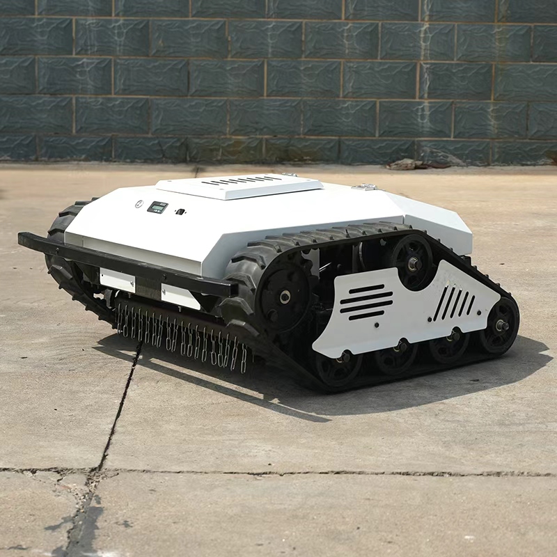 Powerful Durable Lithium Batte - Lawn Mower Battery 리뷰 및 가격